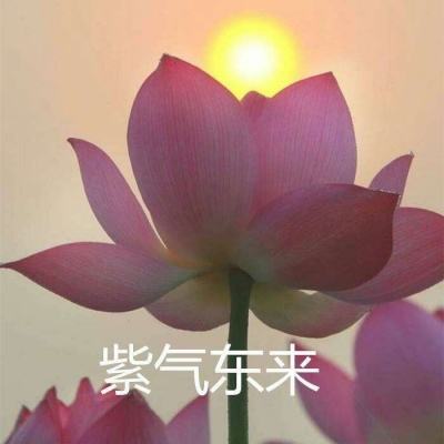 果盘屠龙战役手游下载